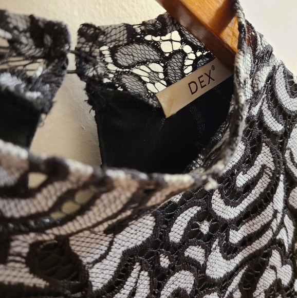 Dex Lace Dress - Picture 3 of 5